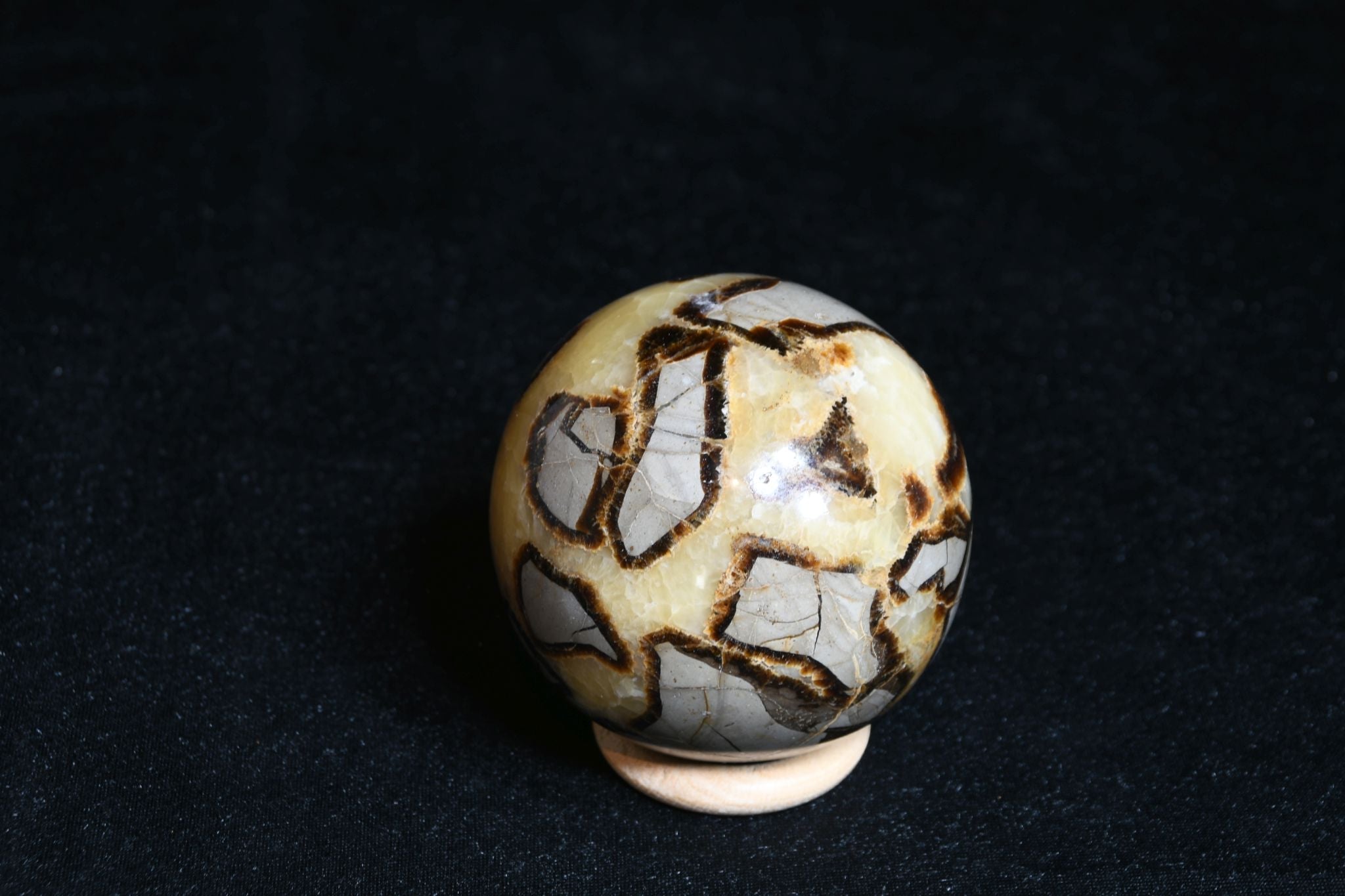 Septarie Kugel