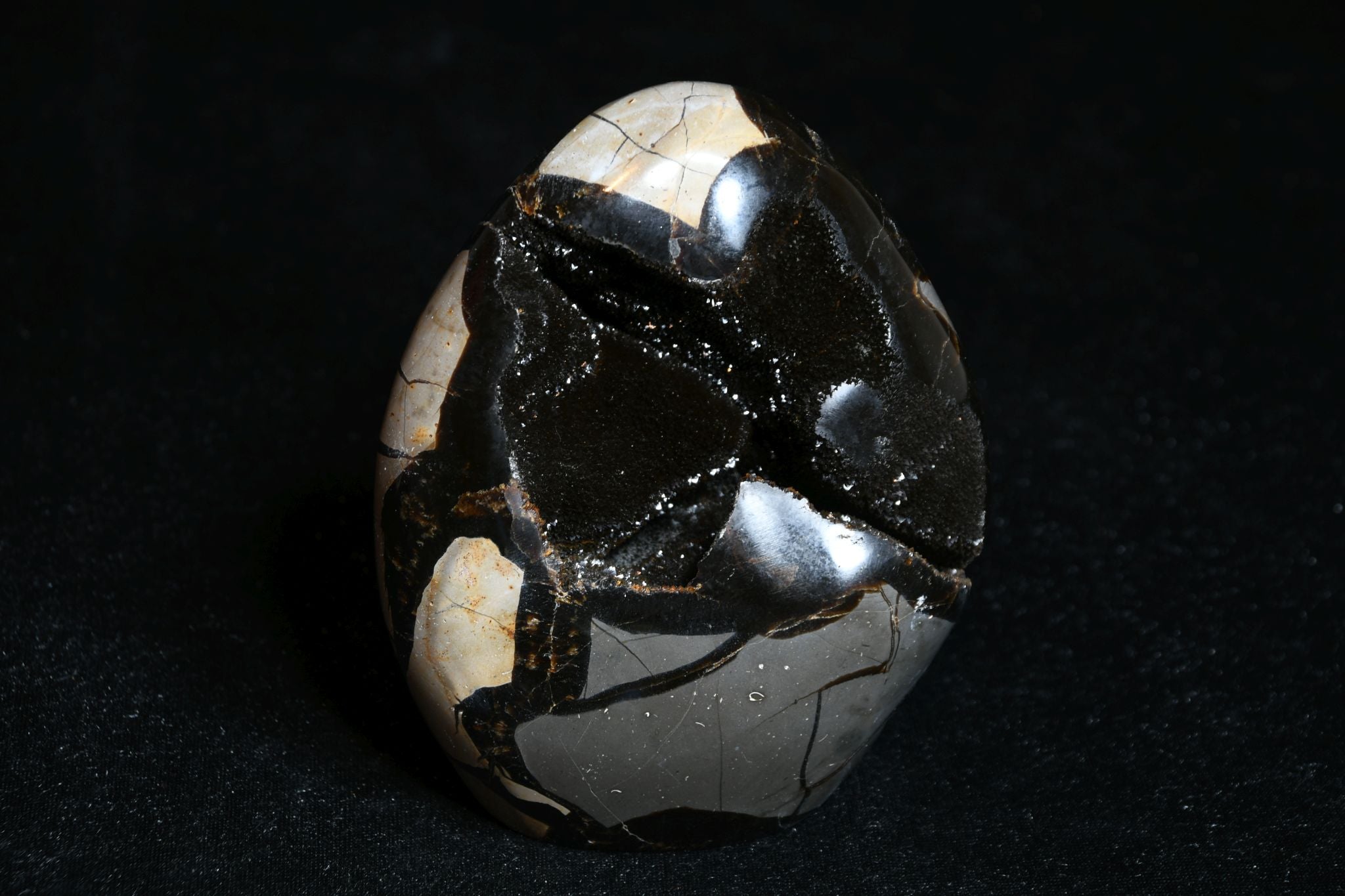 Septarie Freie Form