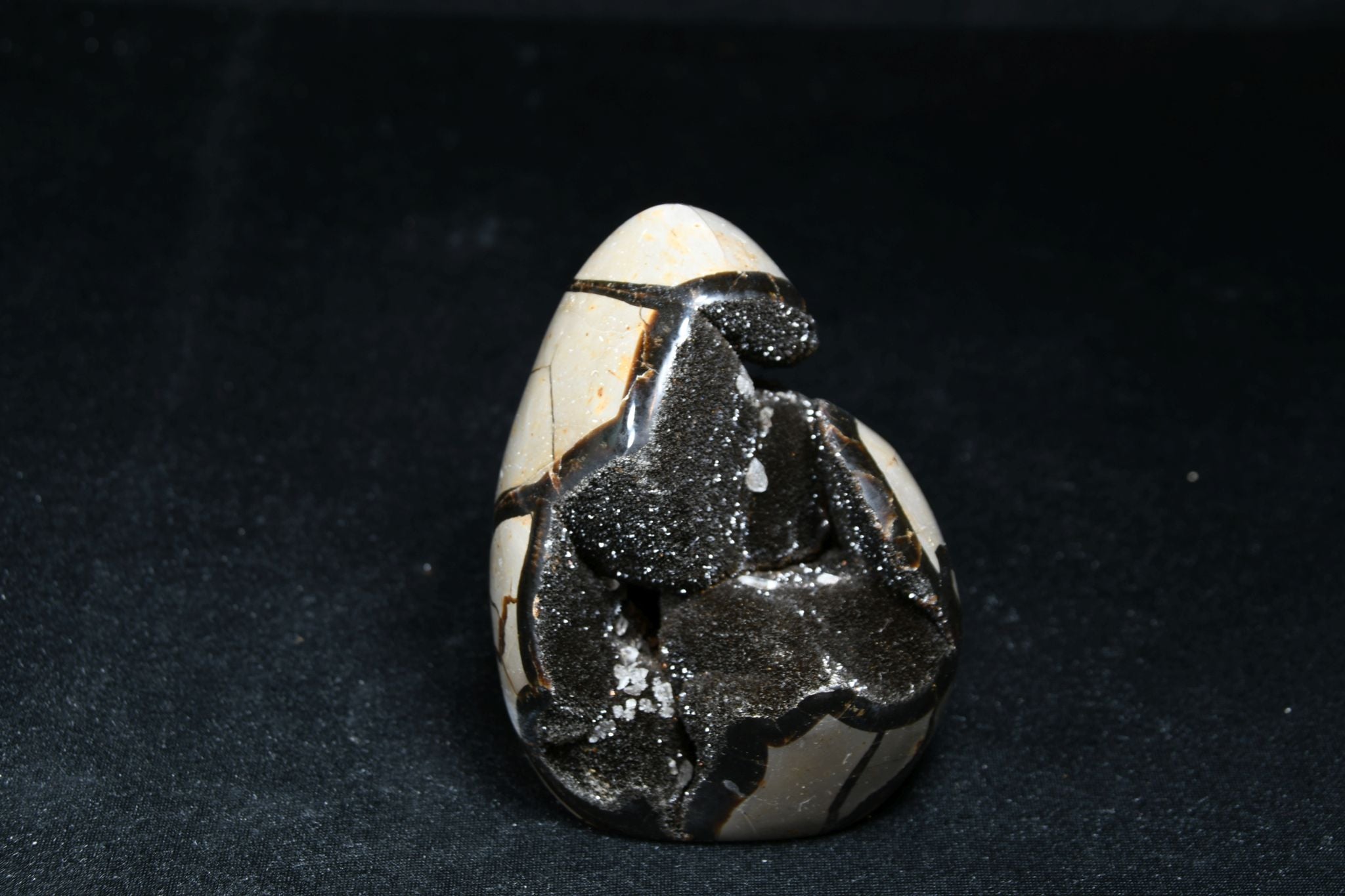 Septarie Freie Form