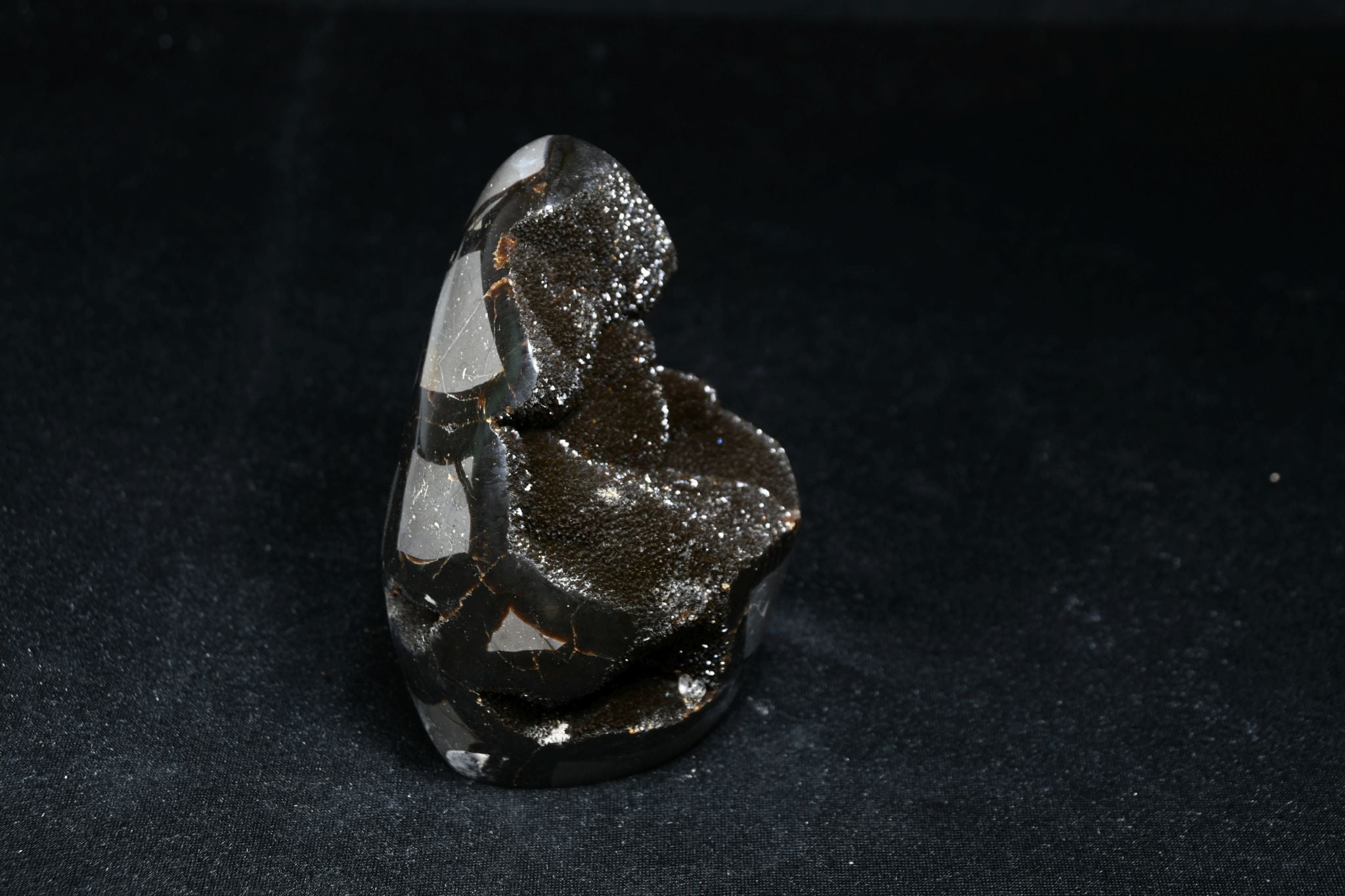Septarie Freie Form