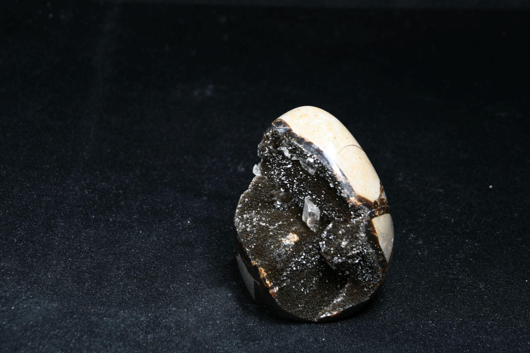 Septarie Freie Form