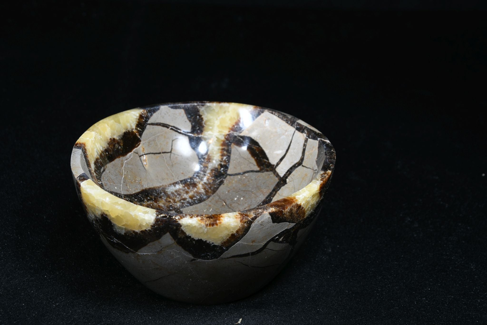 Septarie Schale gross