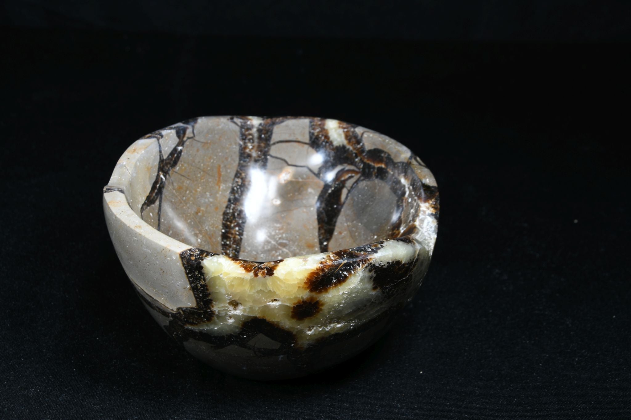 Septarie Schale gross
