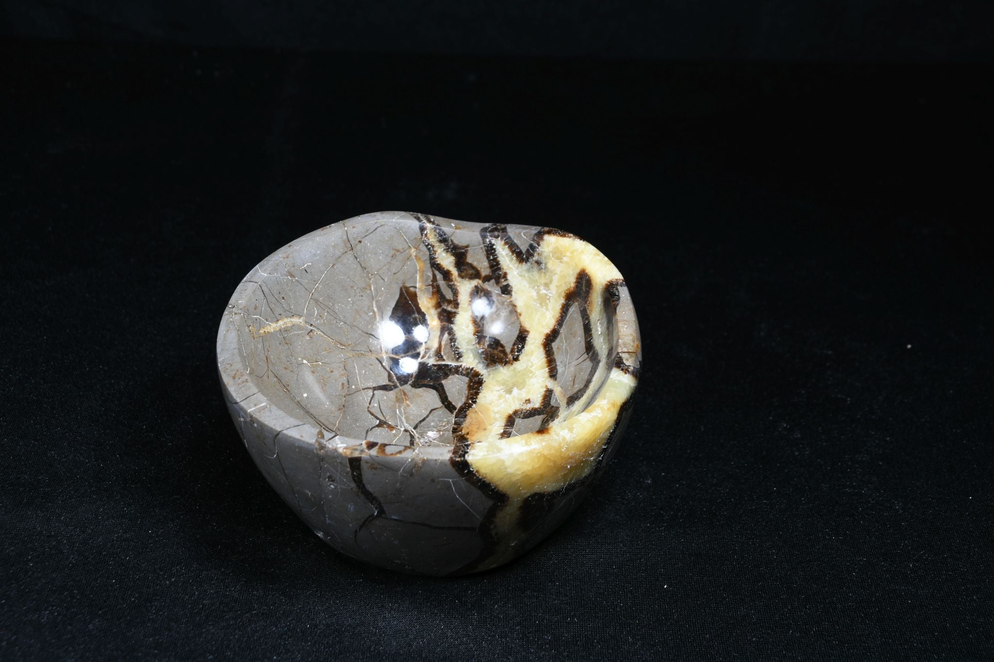 Septarie Schale
