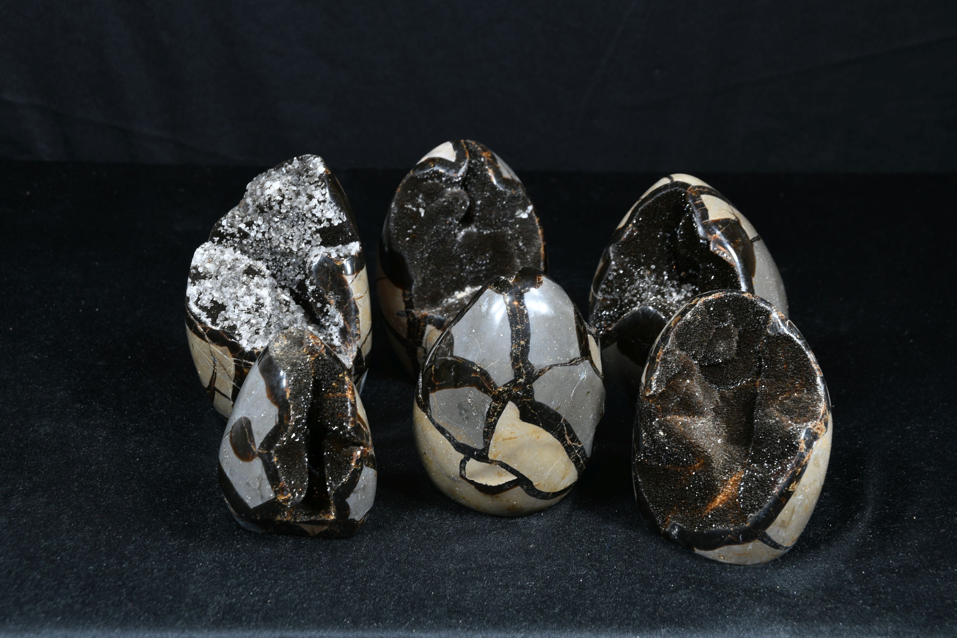 Septarie Set