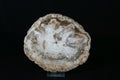 Petrifiziertes Holz Schale