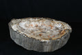 Petrified Wood Schale