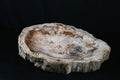 Petrified Wood Schale