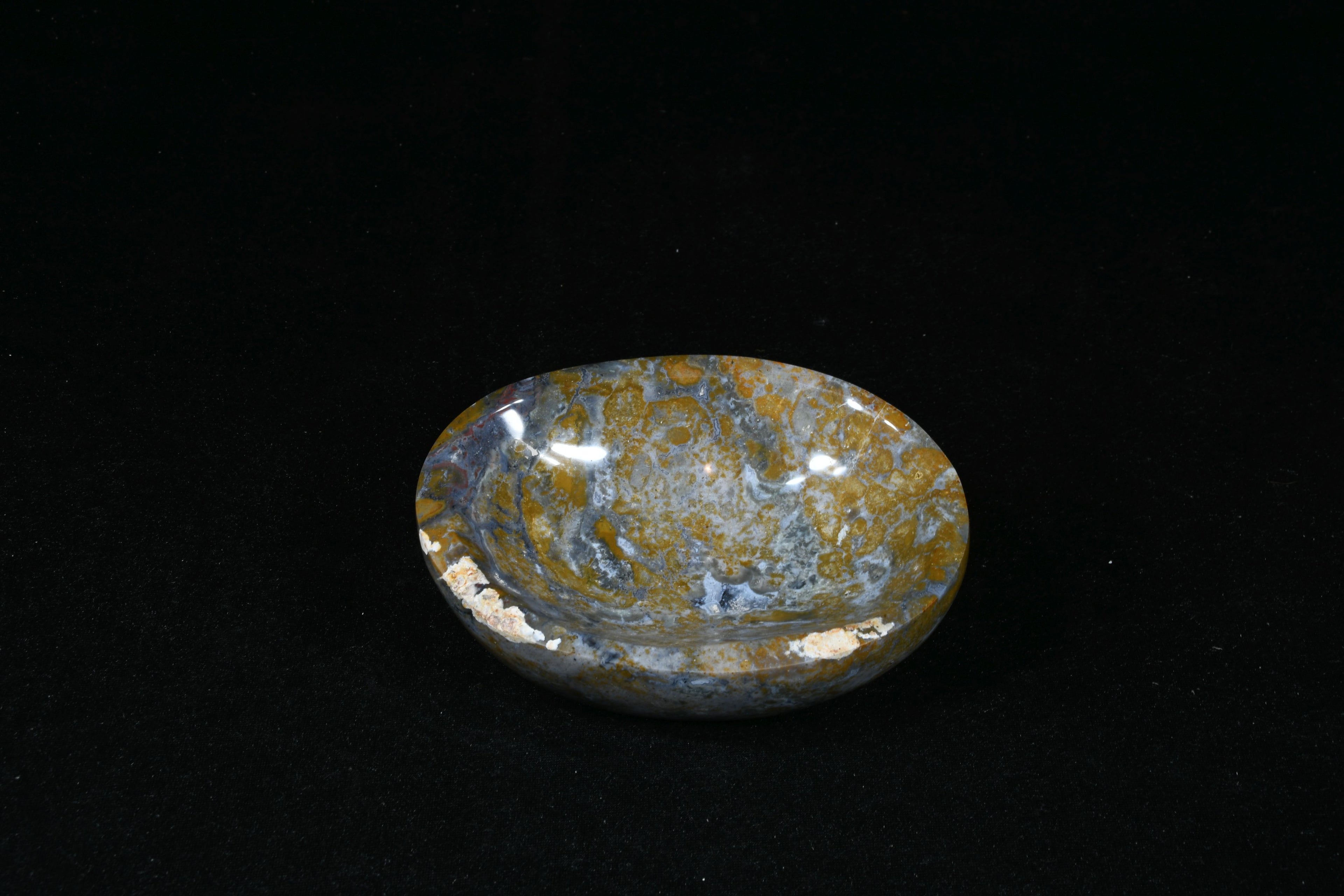 Ozeanjaspis Schale